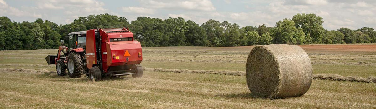 Massey Ferguson